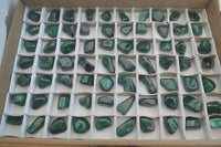 Polished Flower Banded Malachite Free Forms x 70 From Congo