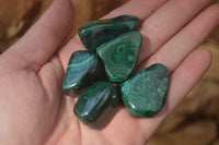 Polished Flower Banded Malachite Free Forms x 70 From Congo