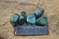 Polished Flower Banded Malachite Free Forms x 70 From Congo