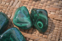 Polished Flower Banded Malachite Free Forms x 70 From Congo