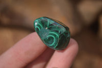 Polished Flower Banded Malachite Free Forms x 70 From Congo