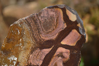 Polished On One Side Nguni Jasper Specimens x 3 From Prieska, South Africa