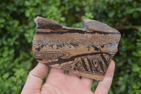 Polished On One Side Nguni Jasper Specimens x 3 From Prieska, South Africa