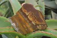 Polished On One Side Nguni Jasper Specimens x 3 From Prieska, South Africa