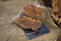 Polished On One Side Nguni Jasper Specimens x 3 From Prieska, South Africa