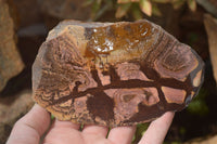 Polished On One Side Nguni Jasper Specimens x 3 From Prieska, South Africa