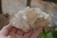 Natural Clear Quartz Clusters x 6 From Mpika, Zambia