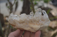 Natural Clear Quartz Clusters x 6 From Mpika, Zambia