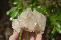 Natural Clear Quartz Clusters x 6 From Mpika, Zambia