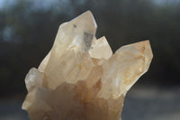 Natural Clear Quartz Clusters x 6 From Mpika, Zambia