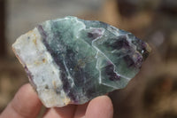 Polished On One Side Watermelon Fluorite Slices x 12 From Namibia