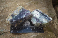 Polished On One Side Watermelon Fluorite Slices x 12 From Namibia