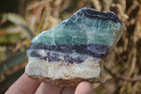 Polished On One Side Watermelon Fluorite Slices x 12 From Namibia