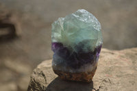 Polished On One Side Watermelon Fluorite Slices x 12 From Namibia