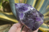 Polished Chevron Amethyst Prism-Point x 1 From Zambia