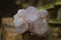 Natural Cactus Flower Amethyst Spirit Quartz Clusters x 6 From South Africa