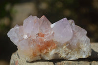 Natural Cactus Flower Amethyst Spirit Quartz Clusters x 6 From South Africa