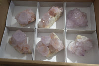 Natural Cactus Flower Amethyst Spirit Quartz Clusters x 6 From South Africa