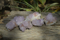 Natural Cactus Flower Amethyst Spirit Quartz Clusters x 6 From South Africa