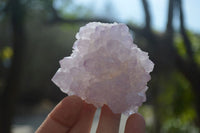 Natural Cactus Flower Amethyst Spirit Quartz Clusters x 6 From South Africa