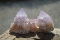 Natural Cactus Flower Amethyst Spirit Quartz Clusters x 6 From South Africa