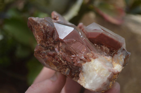 Natural Red Hematoid Quartz Clusters x 2 From Karoi, Zimbabwe