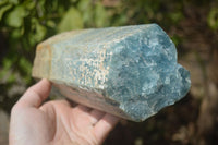 Natural Aquamarine Standing Specimen x 1 From Angola