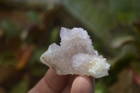 Natural Ametrine Spirit Quartz Clusters x 24 From Boekenhouthoek, South Africa