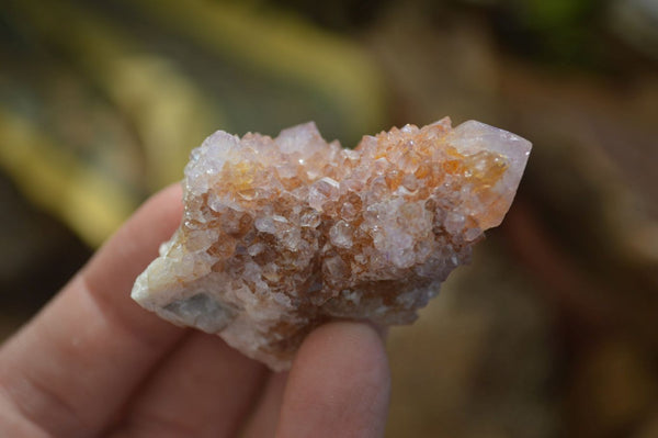 Natural Ametrine Spirit Quartz Clusters x 24 From Boekenhouthoek, South Africa