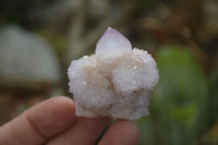 Natural Ametrine Spirit Quartz Clusters x 24 From Boekenhouthoek, South Africa