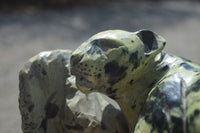 Polished Leopard Stone Leopard Carving x 1 From Zimbabwe