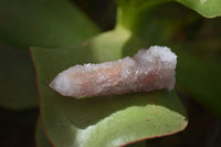 Natural Amethyst Spirit Quartz Clusters x 20 From Boekenhouthoek, South Africa