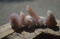 Natural Amethyst Spirit Quartz Clusters x 20 From Boekenhouthoek, South Africa