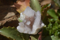 Natural Amethyst Spirit Quartz Clusters x 20 From Boekenhouthoek, South Africa