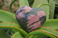 Polished Rhodonite Gemstone Hearts x 3 From Madagascar