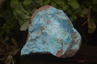 Natural Shattuckite Specimens x 4 From Kaokoveld, Namibia