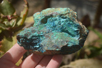 Natural Shattuckite Specimens x 4 From Kaokoveld, Namibia