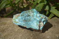 Natural Shattuckite Specimens x 4 From Kaokoveld, Namibia