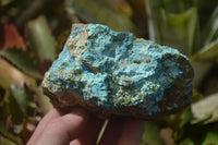 Natural Shattuckite Specimens x 4 From Kaokoveld, Namibia