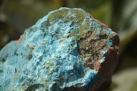 Natural Shattuckite Specimens x 4 From Kaokoveld, Namibia