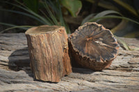 Polished Petrified Wood Branch Pieces x 2 From Gokwe, Zimbabwe