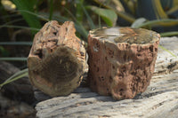 Polished Petrified Wood Branch Pieces x 2 From Gokwe, Zimbabwe