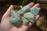 Natural Blue Aquamarine Cobbed Specimens x 13 From Angola