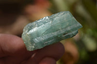 Natural Blue Aquamarine Cobbed Specimens x 13 From Angola