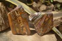 Polished On One Side Nguni Jasper Specimens x 2 From Prieska, South Africa