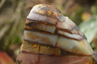 Polished On One Side Nguni Jasper Specimens x 2 From Prieska, South Africa