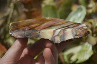 Polished On One Side Nguni Jasper Specimens x 2 From Prieska, South Africa