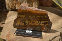 Polished On One Side Nguni Jasper Specimens x 2 From Prieska, South Africa