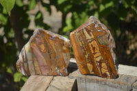 Polished On One Side Nguni Jasper Specimens x 2 From Prieska, South Africa