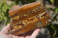 Polished On One Side Nguni Jasper Specimens x 2 From Prieska, South Africa